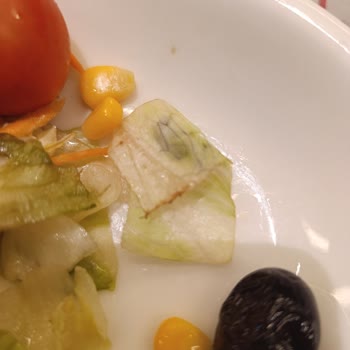 Tavuk Dünyası Hijyen ve Çürümüş Salata Şikayeti