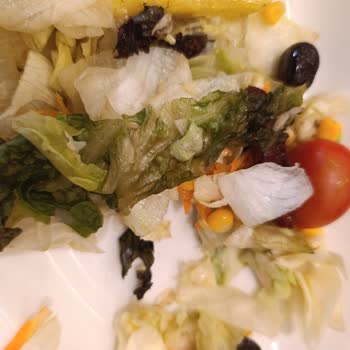 Tavuk Dünyası Hijyen ve Çürümüş Salata Şikayeti