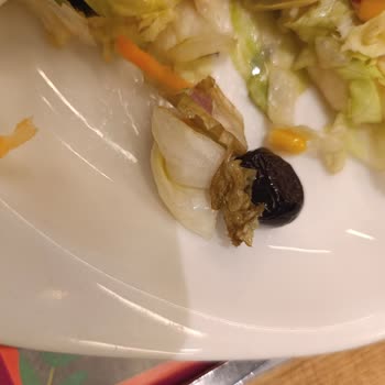 Tavuk Dünyası Hijyen ve Çürümüş Salata Şikayeti