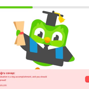 Duolingo'da Eksik Ve Hatalı İçerik Endişesi