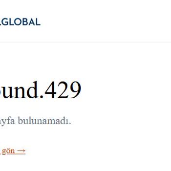 VFS Global Sitesine Erişim Sorunu Nedeniyle Polonya Vizesi Alamıyorum