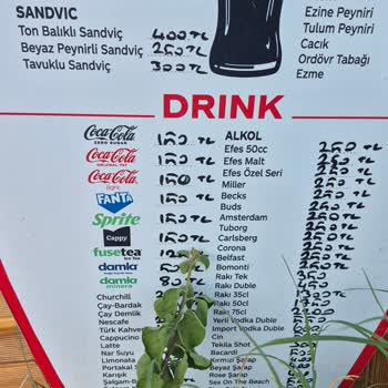 Konser Organizasyonunda Bilgilendirme Ve Fiyat Sorunları