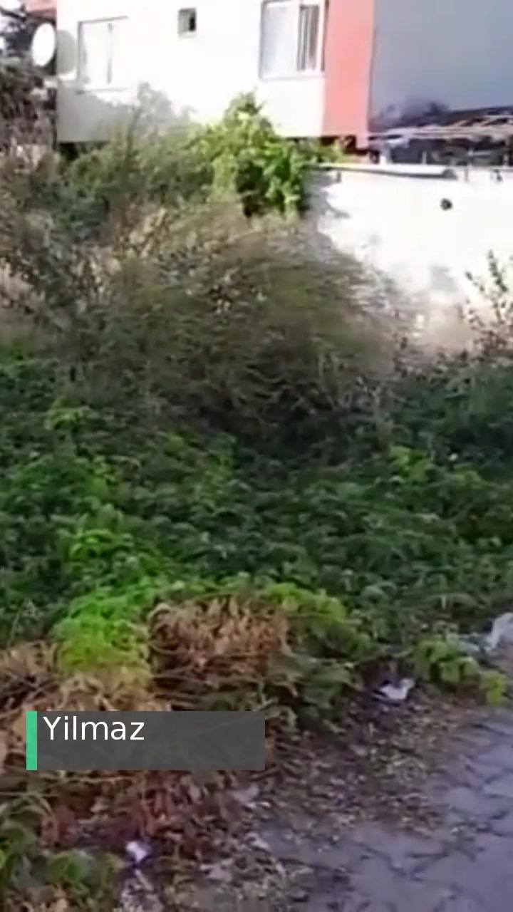 Mersin Büyükşehir Belediyesi  Sinek Koku Sorunları videonun kapak resmi