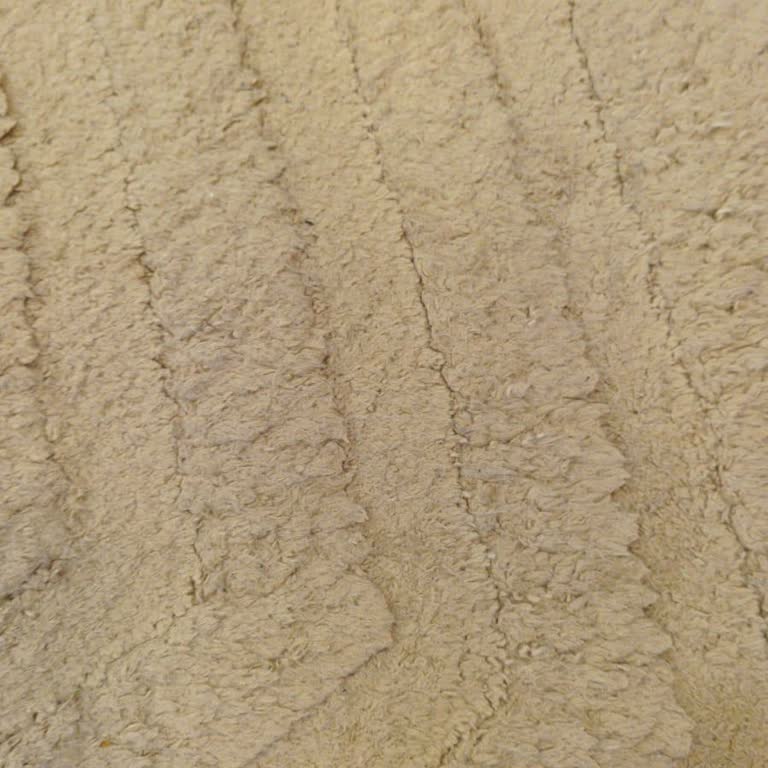 Halı My Life Kısa Sürede Deforme Olan Halıyı Kabul Etmedi