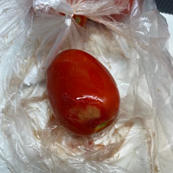 Migros Hemen Siparişimde Çürük Domates Gönderildi Temizlikle Uğraşmak Zorunda Kaldım