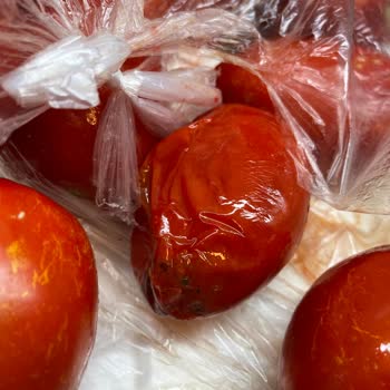 Migros Hemen Siparişimde Çürük Domates Gönderildi Temizlikle Uğraşmak Zorunda Kaldım