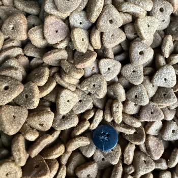 Yurtiçi Kargo Hasarlı ve Kirlenmiş Köpek Maması Teslimatı Sonrası Yetersiz Çözüm