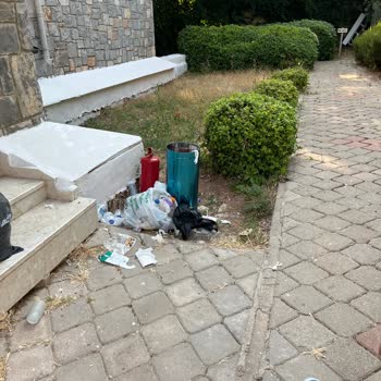 Tropical Deluxe Hotel Hayal Kırıklığına Uğrattı