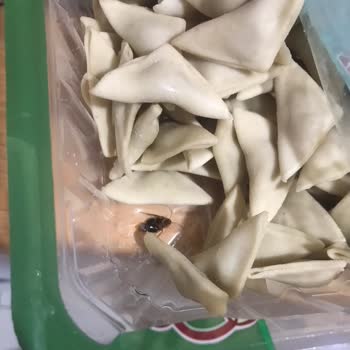 Aldığım Mantının İçinden Hamam Böceği Çıktı, Sağlığımız Tehlikede