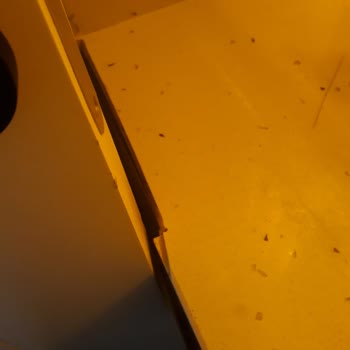 Evde Ses Yalıtımı Ve Elektrik Tesisatı Sorunları