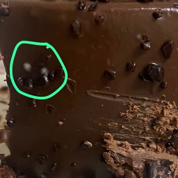 Ataşehir Şubesinden Alınan Pastada Küf Ve Ekşi Tat Deneyimi