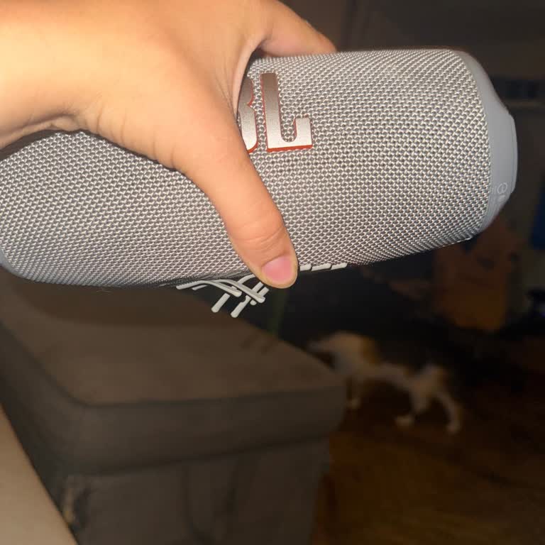 JBL Charge 5 Hoparlörümün Silikonları 1 Ayda Dökülmeye Başladı