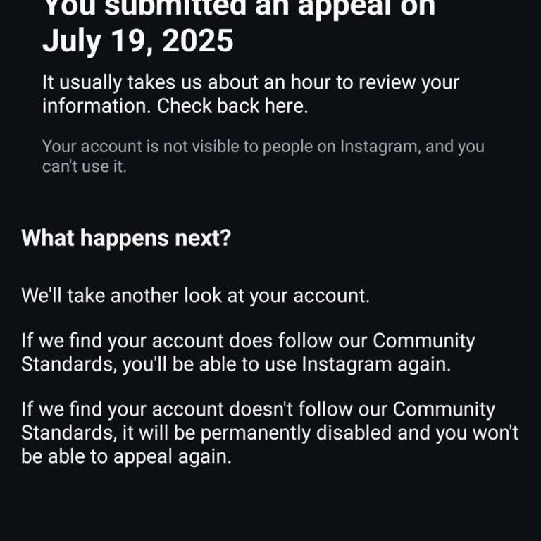 Instagram Hesabım Sürekli Banlanıyor Ve Giriş Yapamıyorum