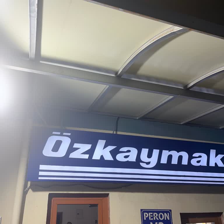 Otobüs Arızası Sonrası Mağduriyet Ve Müşteri Hizmetlerinde Çözüm Bulunamaması