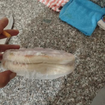 Dondurulmuş Pizza Ürününde Kalite Sorunu