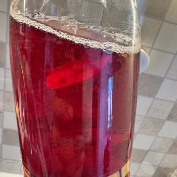 Cappy Ramazan Şerbetinde Şişe İçinde Yabancı Maddelerle Karşılaştım