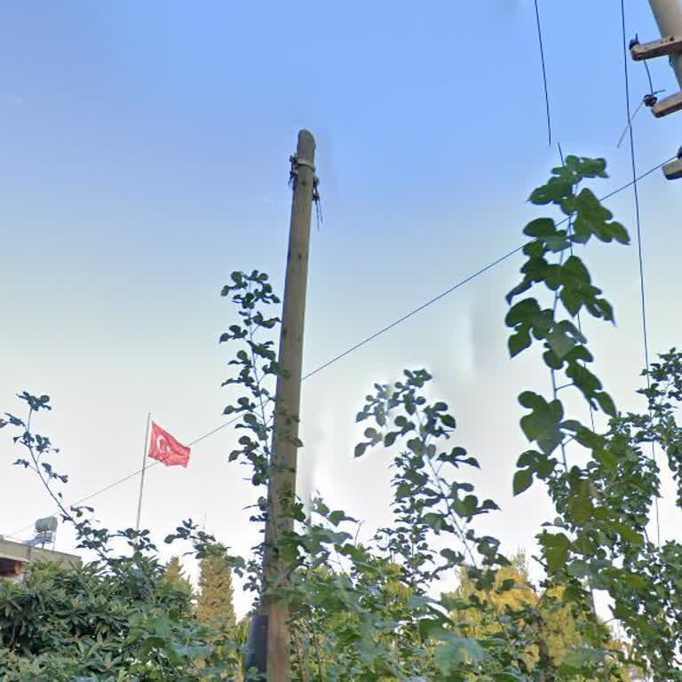 Şehir Merkezinde Altyapı Sorunu Nedeniyle Yıllardır İnternetsiz Kalmak