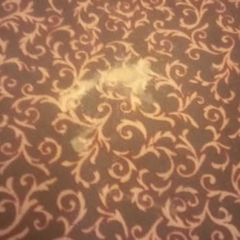 Beş Yıldızlı Otelde Yetersiz Hizmet Ve Hijyen Sorunları