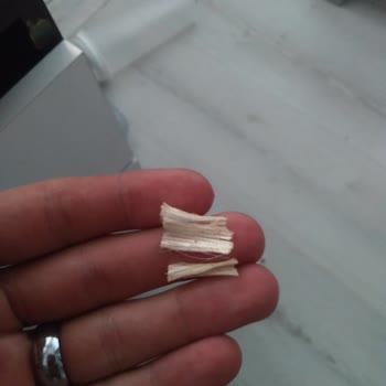 Kedi Mamasında Yabancı Madde Şoku: Sağlık Riski!