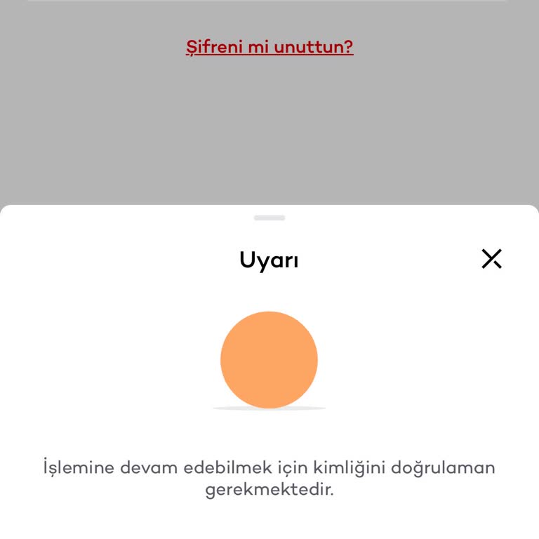 Mobil Bankacılık Giriş Sorunu Ve Kimlik Doğrulama Problemi