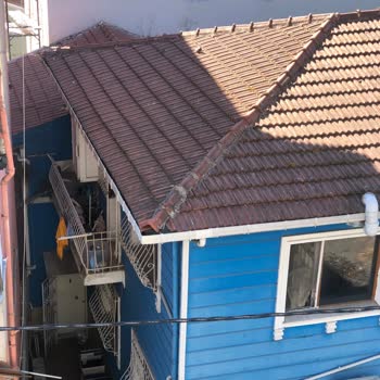 Pati Place Veteriner Kliniği Pis Bir Ortam