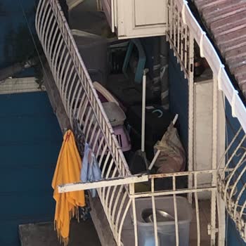 Pati Place Veteriner Kliniği Pis Bir Ortam