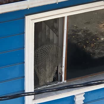 Pati Place Veteriner Kliniği Pis Bir Ortam