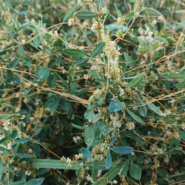 Hepsijet Kargo Adresime Teslim Edilmedi, Hizmet Eksikliği Yaşadım