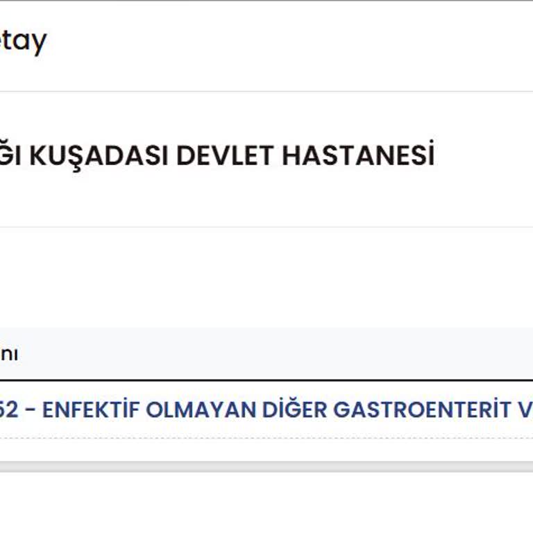 Otelde Yaşanan Hijyen Sorunları Ve Sağlık Problemleri