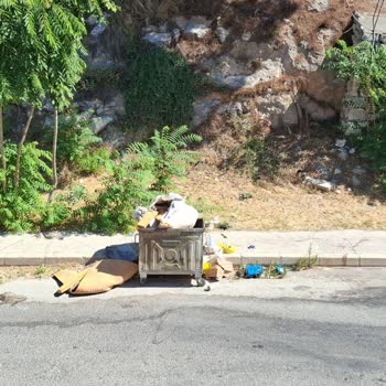 Çöp Kamyonu Günlerdir Gelmiyor, Mahallede Kötü Koku Sorunu