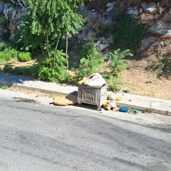 Çöp Kamyonu Günlerdir Gelmiyor, Mahallede Kötü Koku Sorunu