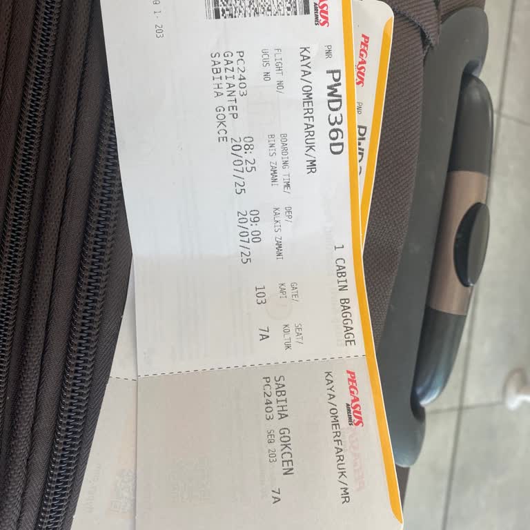 Pegasus Uçuşunda Bilgilendirme Eksikliği Ve Rötar Mağduriyeti