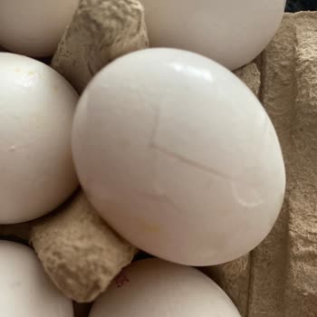 Sürekli Yanlış Ve Hasarlı Ürün Gönderimi: Son Siparişimde De Hayal Kırıklığı