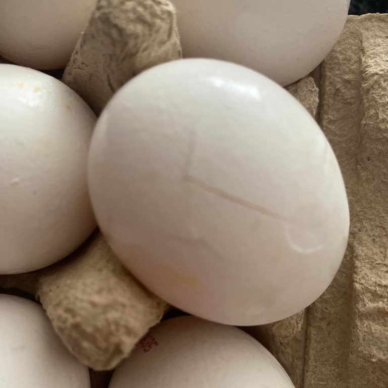 Sürekli Yanlış Ve Hasarlı Ürün Gönderimi: Son Siparişimde De Hayal Kırıklığı