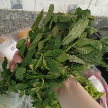 Bozulmuş Ürün Ve Müşteri Memnuniyetsizliği