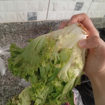 Bozulmuş Ürün Ve Müşteri Memnuniyetsizliği