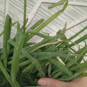 Bozulmuş Ürün Ve Müşteri Memnuniyetsizliği