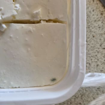 Tekrarlayan Küflü Peynir Sorunları Ve Denetim Eksikliği Endişesi