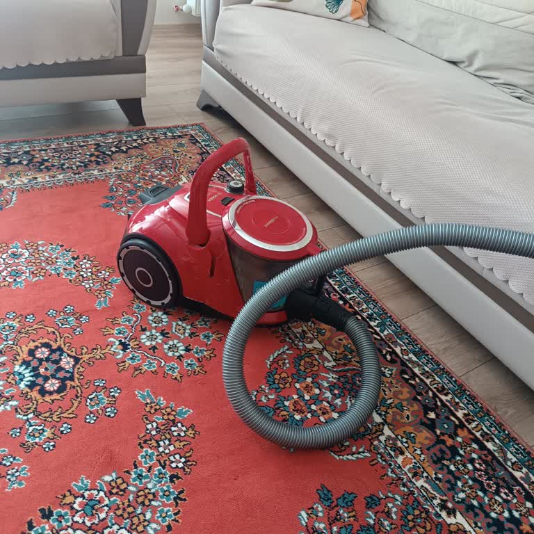 Bosch Seri 6 Süpürge Sürekli Arıza Veriyor Ve Kapanıyor