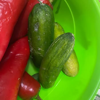 Buzdolabında Meyve-Sebze Saklama Sorunu Ve Yetersiz Servis Deneyimi