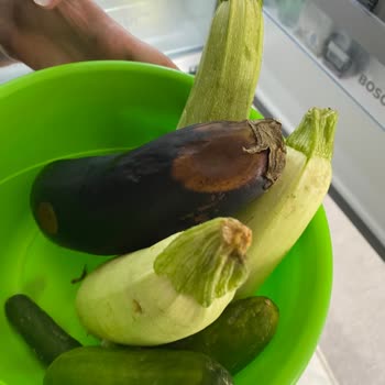 Buzdolabında Meyve-Sebze Saklama Sorunu Ve Yetersiz Servis Deneyimi