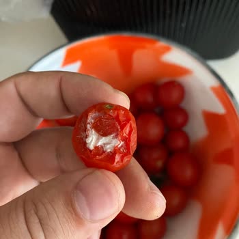 Buzdolabında Meyve-Sebze Saklama Sorunu Ve Yetersiz Servis Deneyimi