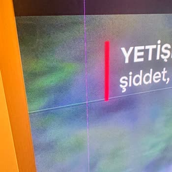 Samsung Frame TV'de Sürekli Ekran Arızası Ve Mağduriyet