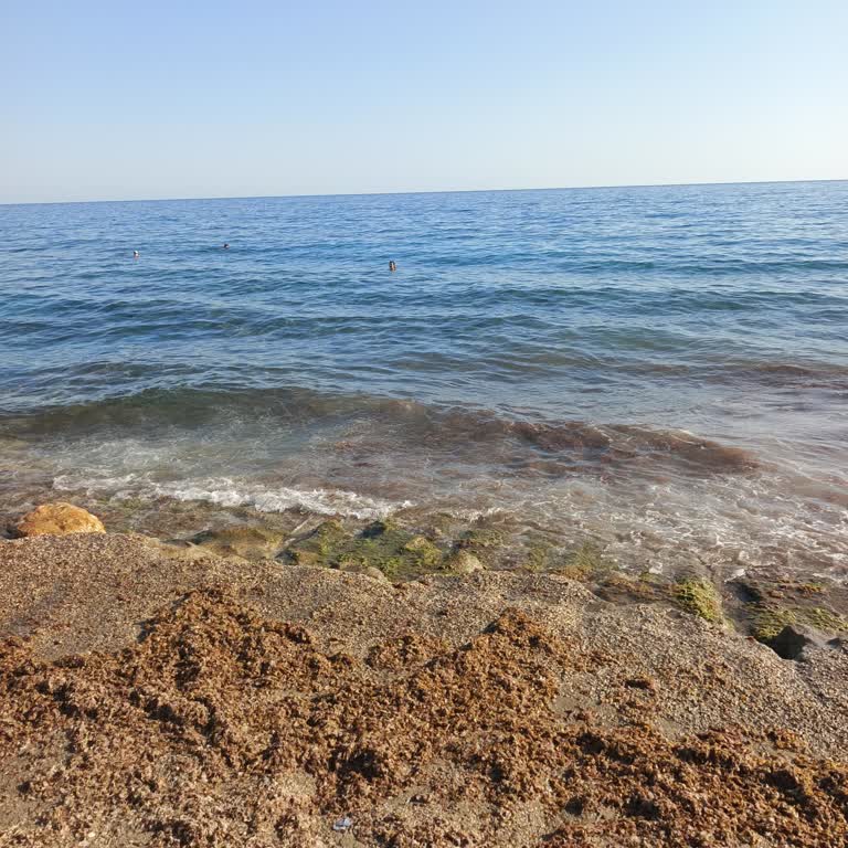 Yemeklerin Lezzetsiz Ve Hijyenik Olmaması Deneyimi Olumsuz Etkiledi