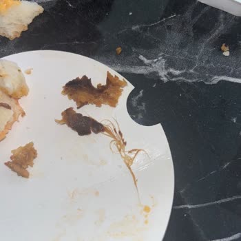 Tavuk Dönerde Tüy Şoku: Hijyen Skandalı Ve Güven Kaybı