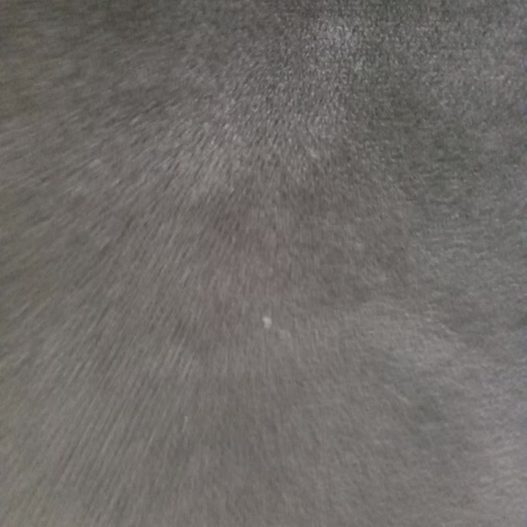 Servis Ücreti Alınıp Bakım Yapılmadı