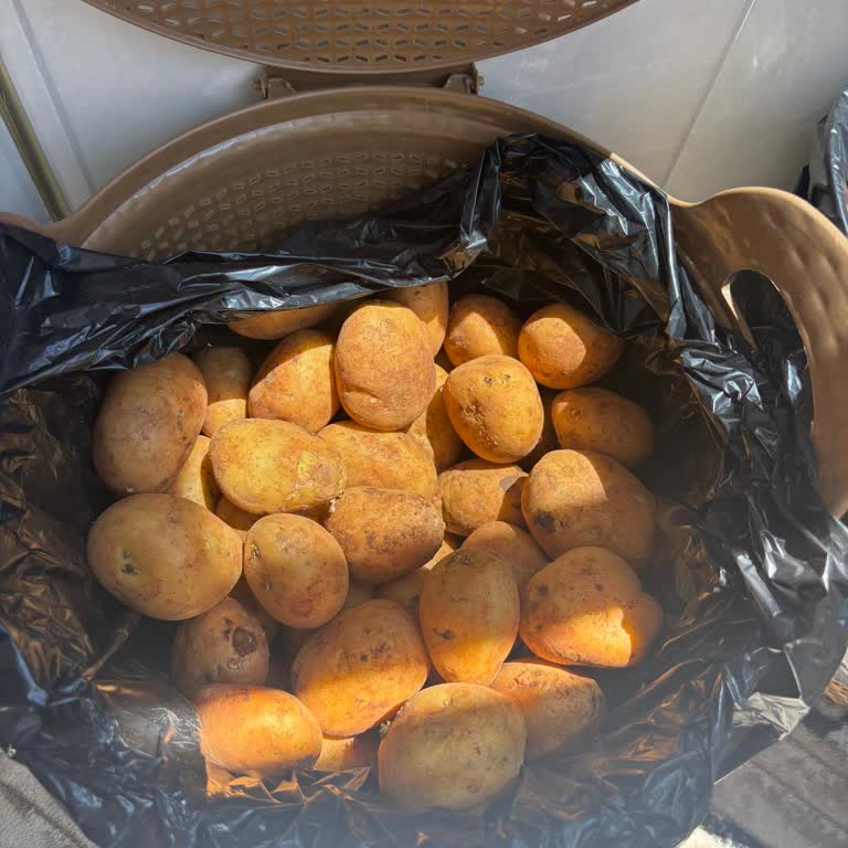 Getir Büyük'te Kötü Sebzeler, Geç Gelen Sipariş Ve Yetersiz Destek