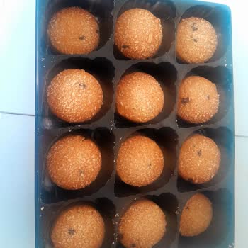 Şok Marketler'den Alınan Bistro Kurabiye Eksik Çıktı