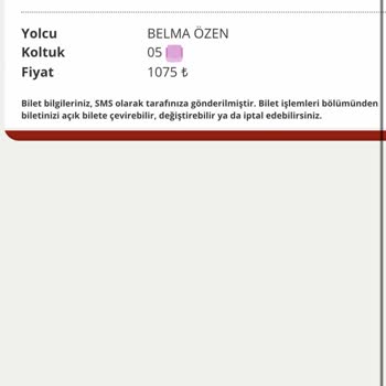 Pamukkale Turizm'de Bilet Saati Sorunu Ve Müşteri Mağduriyeti