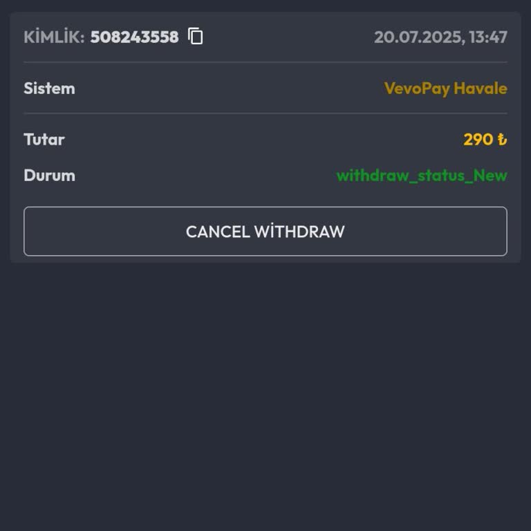 Casino Aktif Çekim Talebi Onaylanmıyor, Canlı Destek Engelledi